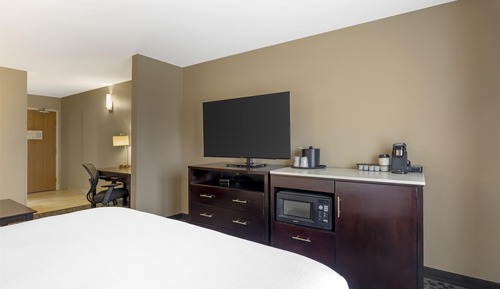 Standard Room, 1 King Bed, Non Smoking, Refrigerator & Microwave