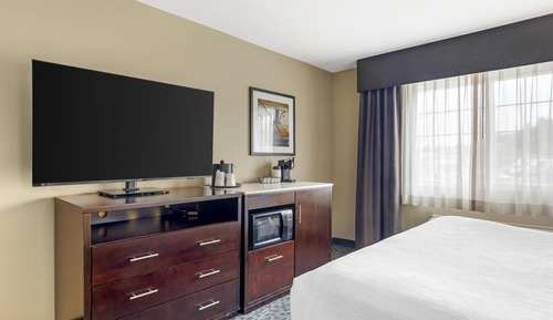 Suite, 1 King Bed, Non Smoking, Refrigerator & Microwave (with Single Sofabed)