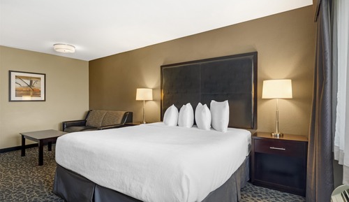 Standard Room, 1 King Bed, Accessible, Refrigerator & Microwave (with Single Sofabed)