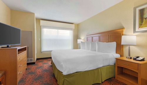 Suite, 1 King Bed, Accessible, Refrigerator & Microwave (with Sofabed)