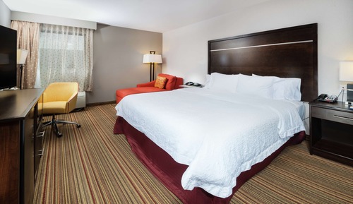 Room, 1 King Bed, Non Smoking (Shower Only)