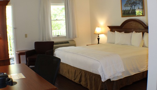 Room, 1 King Bed, Non Smoking, Balcony (Pet Friendly)