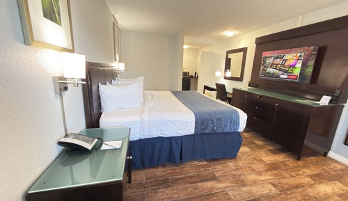 Standard Room, 1 King Bed, Non Smoking