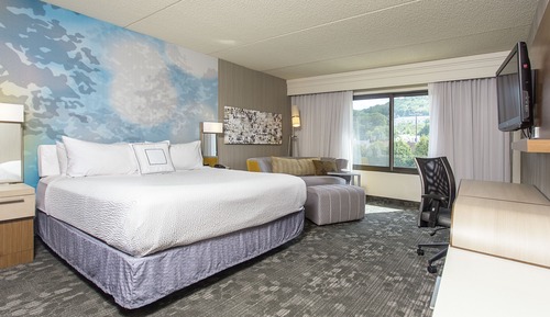 Room, 1 King Bed with Sofa bed (Mobility/Hearing Accessible, Tub)