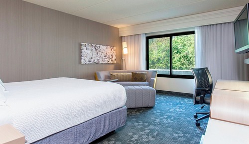 Room, 1 King Bed with Sofa bed