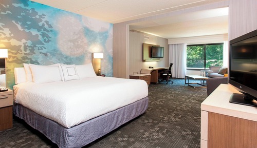 Suite, 1 King Bed with Sofa bed