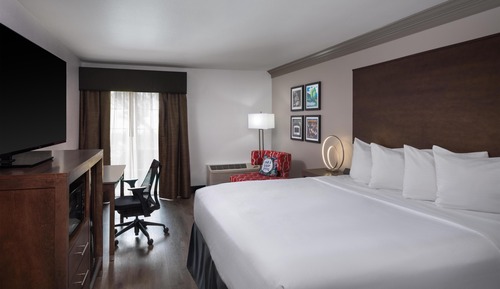 Standard Room, 1 King Bed, Accessible, Refrigerator & Microwave