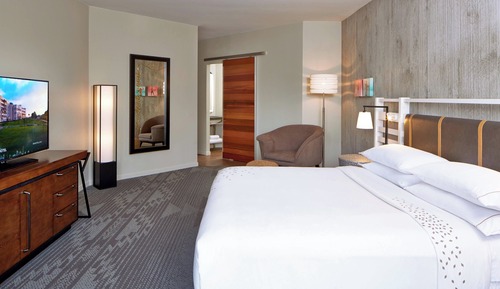 Room, 1 King Bed (Mobility/Hearing Accessible, Tub)