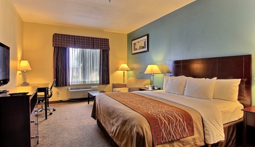 Room, 1 King Bed, Non Smoking (Efficiency, Upgrade)