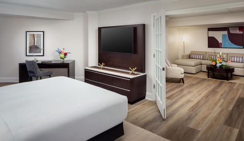 Suite, One King Bed