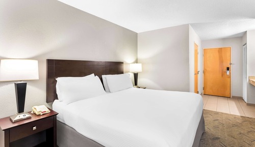 Standard Room, 1 King Bed, Accessible, Refrigerator & Microwave