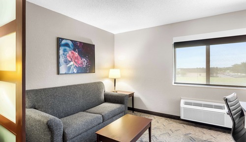 Suite, 1 King Bed, Non Smoking, Refrigerator & Microwave (with Sofabed)