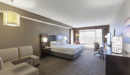 Standard Room, 1 King Bed, Accessible (Communications, Accessible Tub)