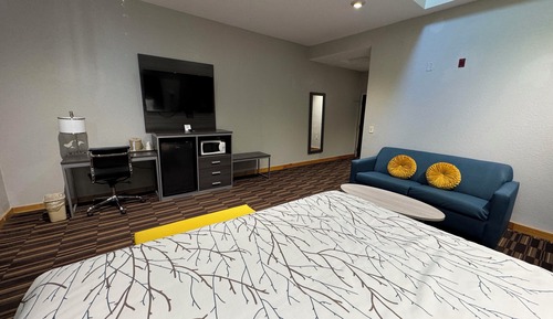 Room, 1 King Bed with Sofa bed, Non Smoking (with Skylight)