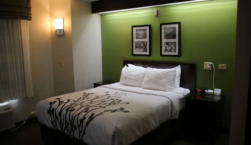 Room, 1 Queen Bed, Accessible, Non Smoking