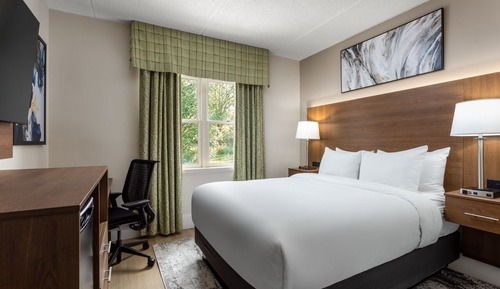 Standard Room, 1 Queen Bed