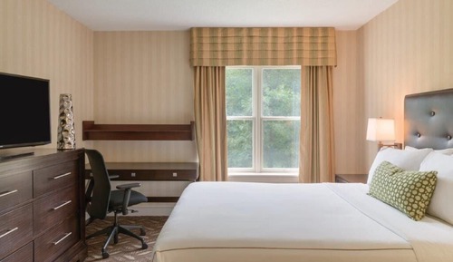 Executive Studio Suite, 1 Queen Bed with Sofa bed