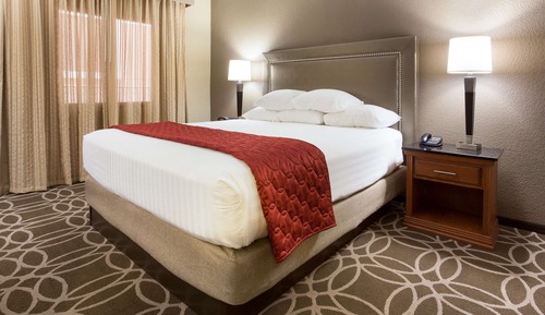 Suite, 1 King Bed with Sofa bed (Sofa Sleeper, 2 Rooms)