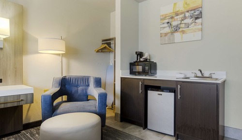 Standard Room, 1 King Bed, Non Smoking, Refrigerator & Microwave (Walk-in Shower;with Sofabed)