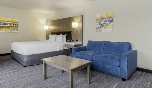 Standard Room, 1 King Bed, Accessible, Refrigerator & Microwave (Walk-in Shower)