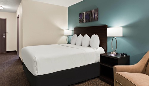 Standard Room, 1 Queen Bed, Non Smoking