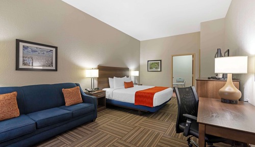 Standard Room, 1 King Bed, Accessible, Non Smoking