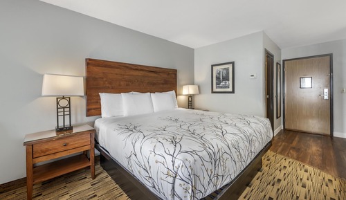 Standard Room, 1 King Bed, Balcony, River View