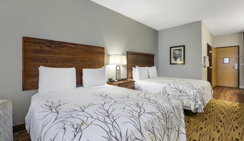 Standard Room, 2 Queen Beds, Accessible, Non Smoking (Walk-in Shower)