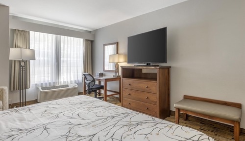 Standard Room, 1 King Bed, Accessible, Refrigerator & Microwave