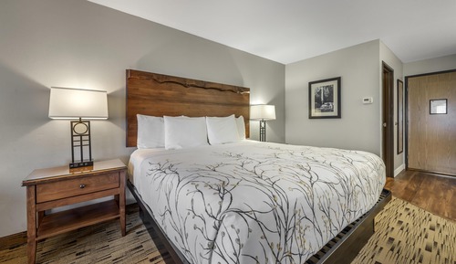 Standard Room, 1 King Bed, Non Smoking, Refrigerator & Microwave (No View)