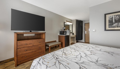 Standard Room, 1 King Bed, Accessible, Non Smoking (Walk-in Shower)