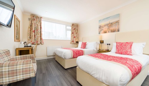 Standard Room, Multiple Beds, Non Smoking (Pet Friendly)