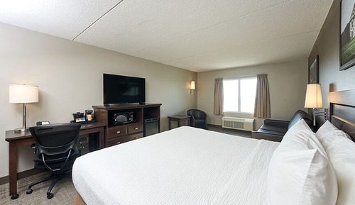 Deluxe Room, 1 King Bed with Sofa bed