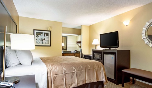 Standard Room, 1 King Bed, Non Smoking