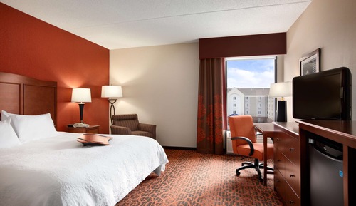 Room, 1 King Bed, Accessible, Non Smoking