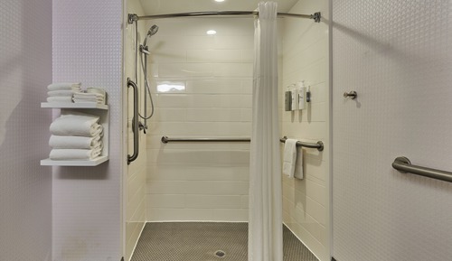 Room, 1 King Bed, Accessible (Roll In Shower)