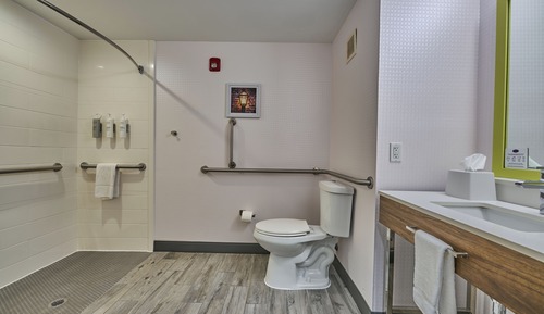 Room, 1 King Bed, Accessible (Roll In Shower)