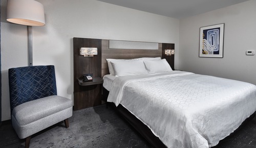 Standard Room, 1 King Bed, Accessible (Communications)