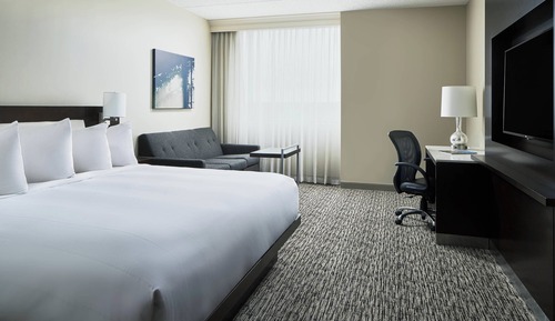 Room, 1 King Bed with Sofa bed