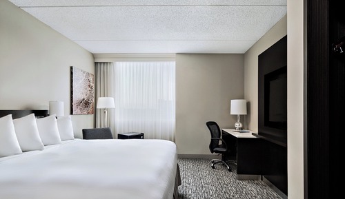 Room, 1 King Bed