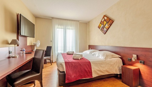 Comfort Double Room (Access to sauna and steam bath)