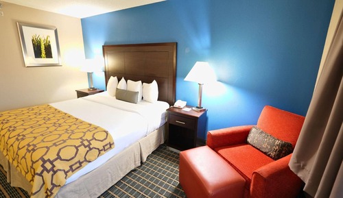 Room, 1 King Bed, Non Smoking