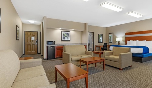 Standard Room, 1 King Bed, Non Smoking, Jetted Tub (with Single Sofabed)