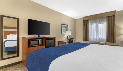 Standard Room, 1 King Bed, Non Smoking, Refrigerator & Microwave