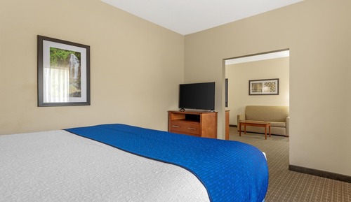Suite, 1 King Bed, Non Smoking, Jetted Tub (with Single Sofabed)