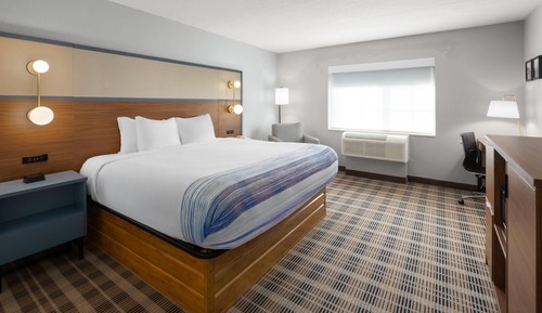 Room, 1 King Bed, Non Smoking