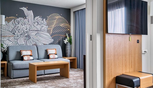 Suite, 1 King Bed with Sofa bed