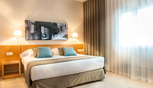 Standard Triple Room (Free Parking)