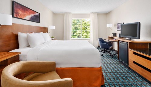Room, 1 King Bed (Mobility Accessible, Roll-In Shower)
