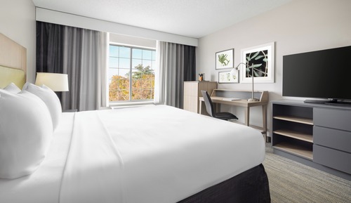 Room, 1 King Bed, Non Smoking